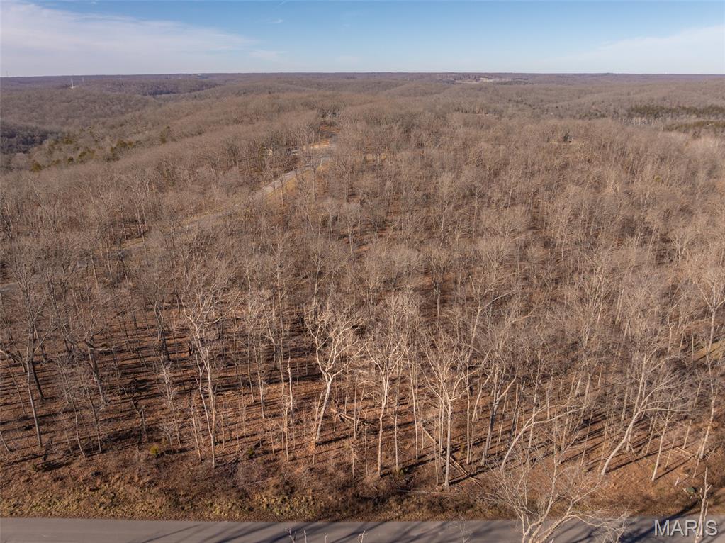 2832 Morgan Lake Drive