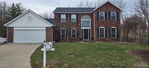 Photo of 19 Lautrec Court, OFallon, MO 63368 (MLS # 26012152)