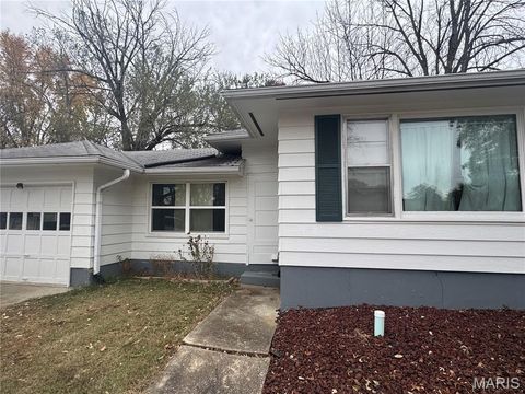 Tiny photo for 904 2nd Street, Troy, MO 63379 (MLS # 25071022)