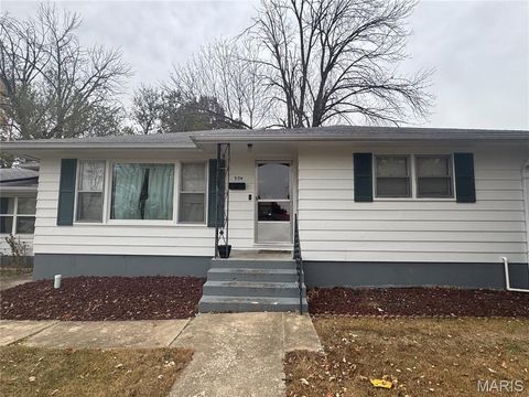 Tiny photo for 904 2nd Street, Troy, MO 63379 (MLS # 25071022)