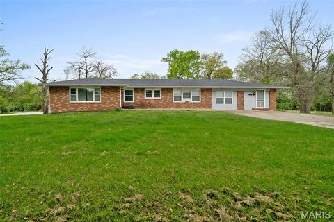 Photo of 473 N Lincoln Drive, Troy, MO 63379 (MLS # 25026944)