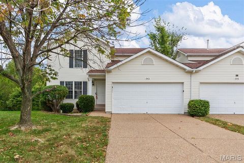 Photo of 543 Donna Marie Drive #2038A, Wentzville, MO 63385 (MLS # 25068545)