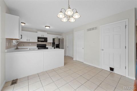 Tiny photo for 543 Donna Marie Drive #2038A, Wentzville, MO 63385 (MLS # 25068545)