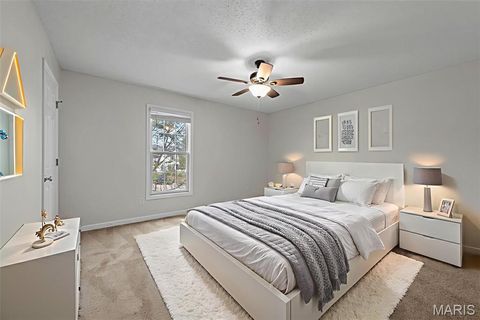 Tiny photo for 543 Donna Marie Drive #2038A, Wentzville, MO 63385 (MLS # 25068545)
