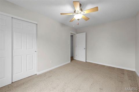 Tiny photo for 543 Donna Marie Drive #2038A, Wentzville, MO 63385 (MLS # 25068545)