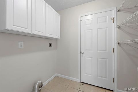 Tiny photo for 543 Donna Marie Drive #2038A, Wentzville, MO 63385 (MLS # 25068545)