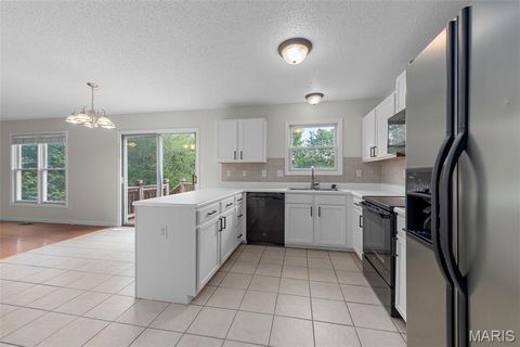 Tiny photo for 543 Donna Marie Drive #2038A, Wentzville, MO 63385 (MLS # 25068545)