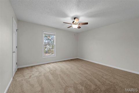 Tiny photo for 543 Donna Marie Drive #2038A, Wentzville, MO 63385 (MLS # 25068545)