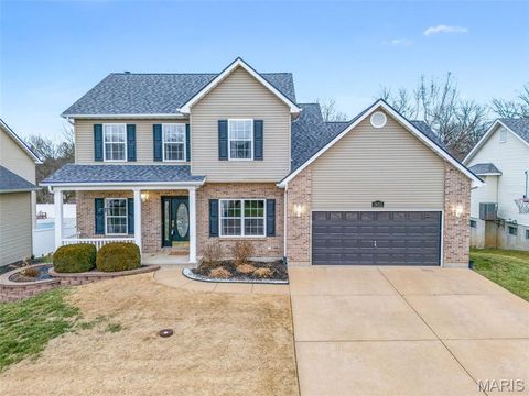 1653 Bermuda Drive Festus MO 63028