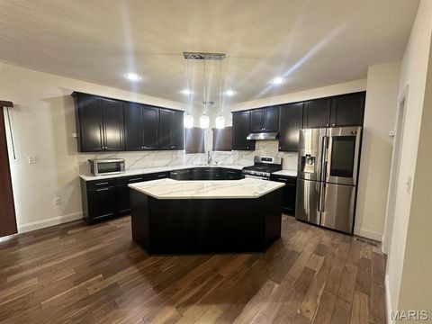 Tiny photo for 330 Wilhelmine Court, Ballwin, MO 63021 (MLS # 26009067)