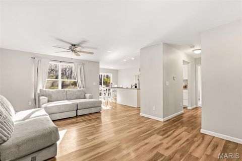 Tiny photo for 30 Round Table Court, Winfield, MO 63389 (MLS # 26020261)