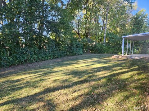 Tiny photo for 320 Fourbush Court, Winfield, MO 63389 (MLS # 25068584)