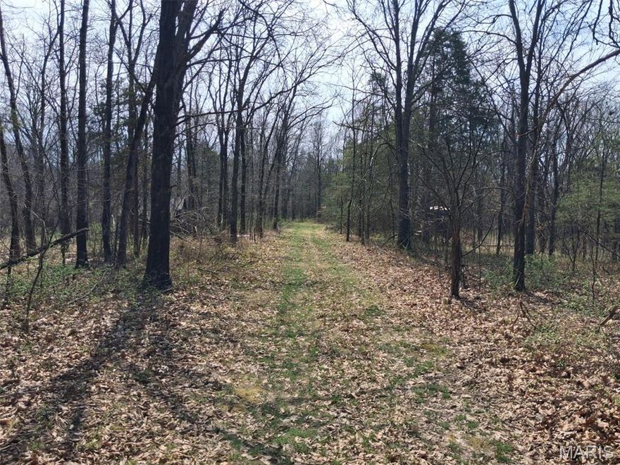 4 m/l acres located in Stoutsville MO just off of Hwy 24. Property is all wooded with road frontage. The property also backs up to CORPS ground of the Mark Twain Lake on the South side. Would make for a great weekend camp ground spot for campers or to possibly build a new home.  There is a fishing boat ramp just 5 mins away, and the 107 and rt U boat ramps are about 10 minutes away.