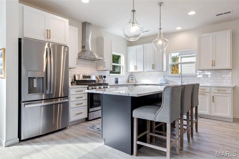 Tiny photo for 2125 Boardman Street, St Louis, MO 63110 (MLS # 25070626)