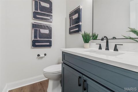 Tiny photo for 544 Summit Avenue, Webster Groves, MO 63119 (MLS # 25061475)