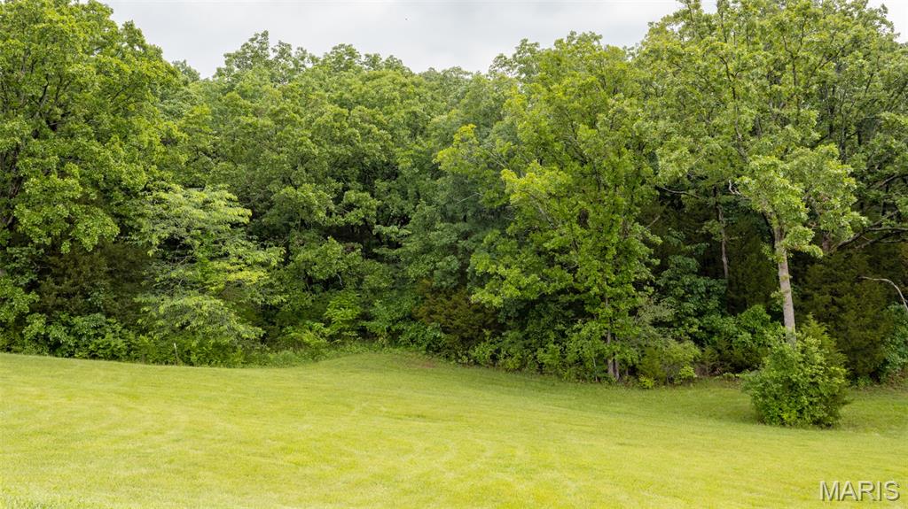 Rainbow Lake Estates - Land