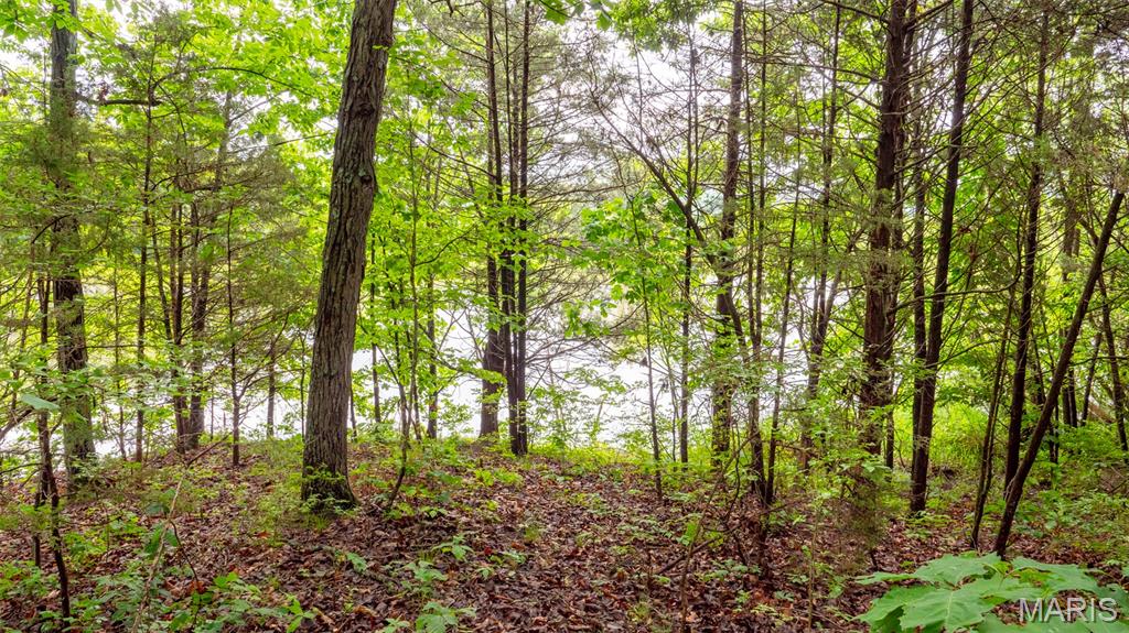 Rainbow Lake Estates - Land