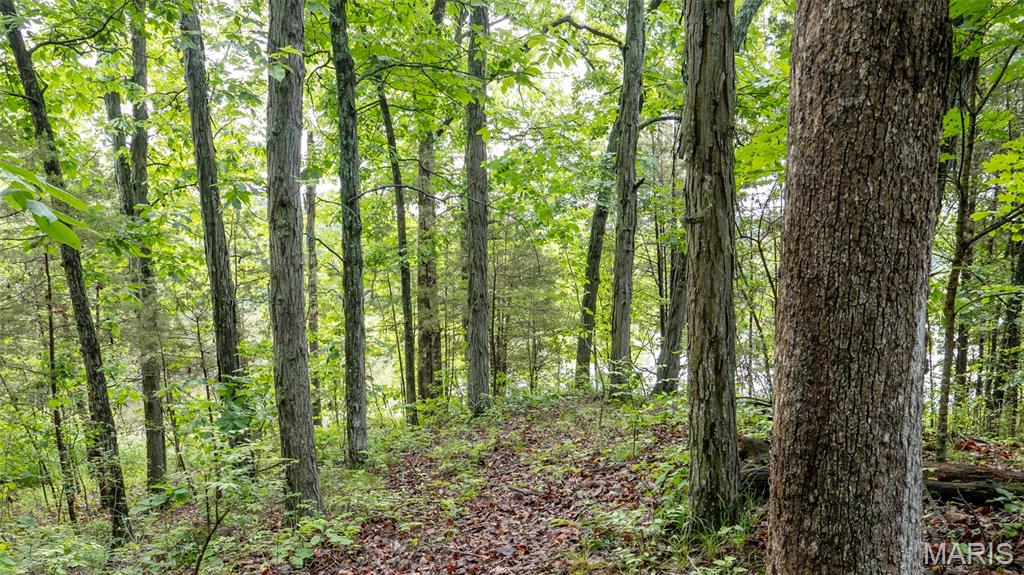 Rainbow Lake Estates - Land