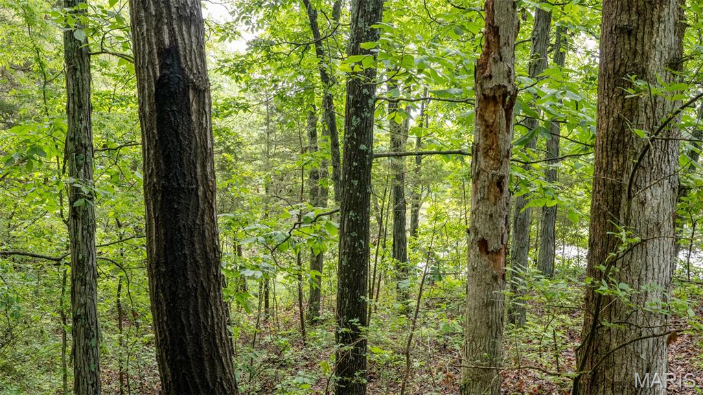 Rainbow Lake Estates - Land