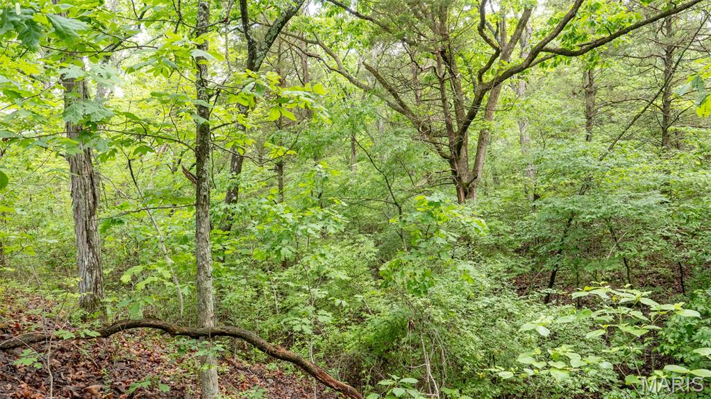 Rainbow Lake Estates - Land