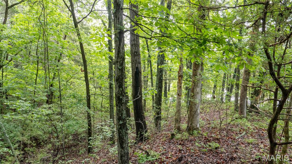 Rainbow Lake Estates - Land