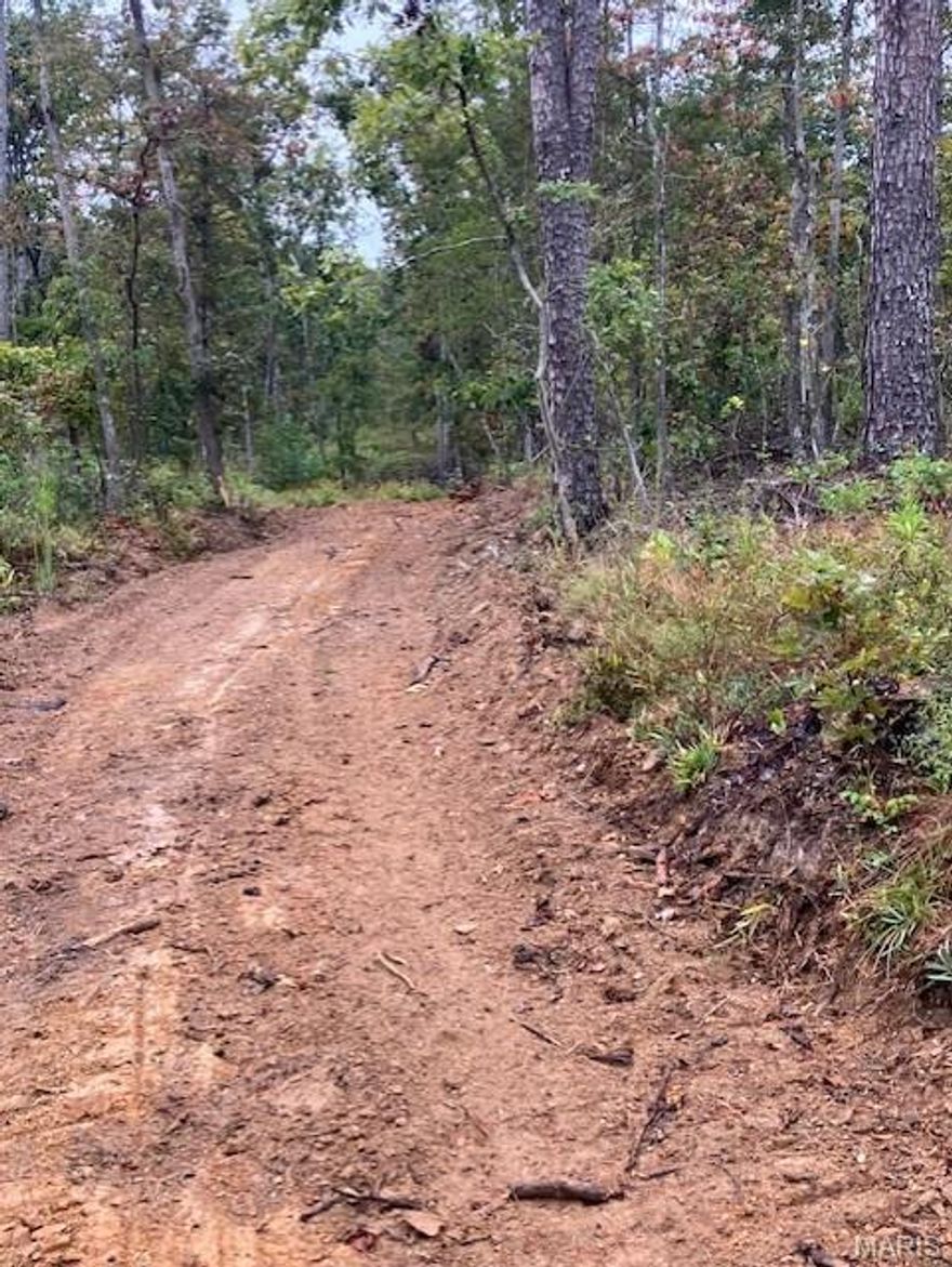 Wooded rural acreage with access to a shared spring-fed stream and within a mile of Mark Twain National Forest ... it doesn't get much better. It's a landowner's dream come true. 
This affordable Ozark oasis comes with NO restrictions. And there's a nice wide deeded easement gravel road leading from the county road to your property.
Hunt, camp, build, ride ATVs on your own land, or fish or play in the shared creek section. The opportunities are endless.
This property is wooded and rolling. You are within a mile of the 22,176-acre Mark Twain National Forest ... public ground where you can also hunt, ride and explore. All this, and only about 2 miles by road from U.S. 67 for quick and easy access.
Use this great 8.796 acres as a base camp for adventure. This and surrounding land is teeming with deer, turkey and small game, and the occasional feral hog or maybe a black bear. 
Ownership comes with access to a 3-acre shared stretch of the magnificent 12 Mile Creek and gravel bar.