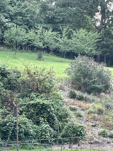 370 Hencken Hollow Lane