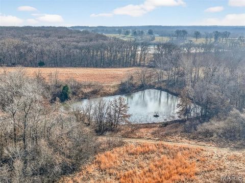 Tiny photo for 285 Graves, Foley, MO 63347 (MLS # 25082203)
