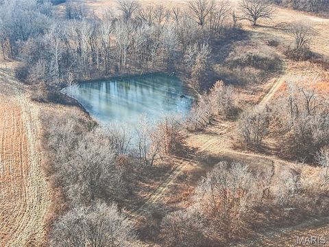 Tiny photo for 285 Graves, Foley, MO 63347 (MLS # 25082203)