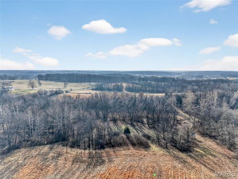 Tiny photo for 285 Graves, Foley, MO 63347 (MLS # 25082203)