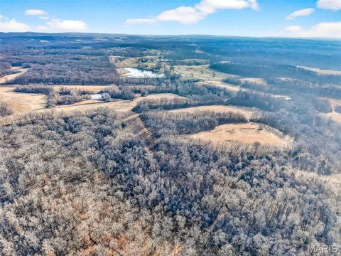 Tiny photo for 285 Graves, Foley, MO 63347 (MLS # 25082203)