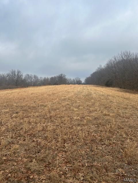Tiny photo for 285 Graves, Foley, MO 63347 (MLS # 25082203)