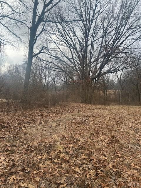 Tiny photo for 285 Graves, Foley, MO 63347 (MLS # 25082203)
