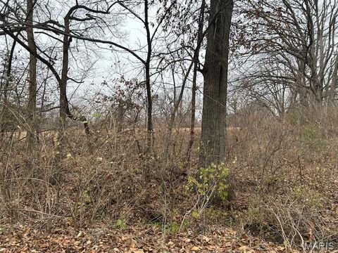 Tiny photo for 285 Graves, Foley, MO 63347 (MLS # 25082203)
