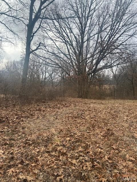 Tiny photo for 285 Graves, Foley, MO 63347 (MLS # 25082203)