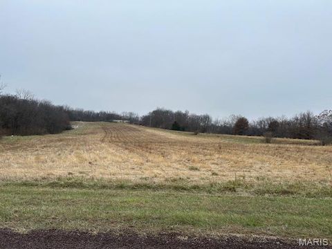 Tiny photo for 285 Graves, Foley, MO 63347 (MLS # 25082203)