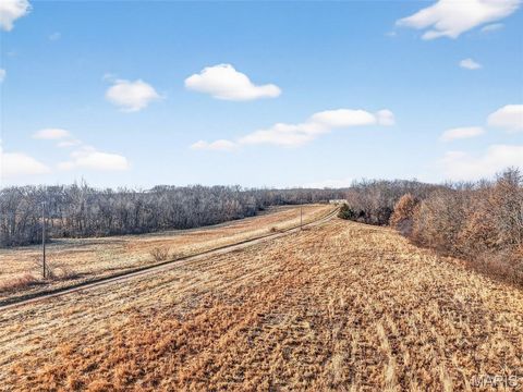 Tiny photo for 285 Graves, Foley, MO 63347 (MLS # 25082203)