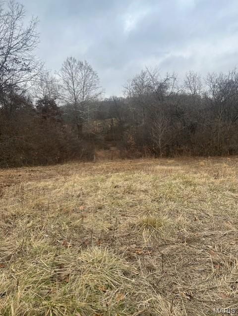 Tiny photo for 285 Graves, Foley, MO 63347 (MLS # 25082203)