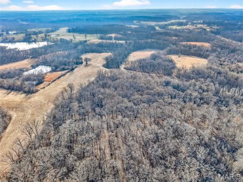 Tiny photo for 285 Graves, Foley, MO 63347 (MLS # 25082203)