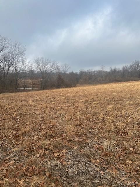 Tiny photo for 285 Graves, Foley, MO 63347 (MLS # 25082203)