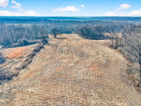 Tiny photo for 285 Graves, Foley, MO 63347 (MLS # 25082203)