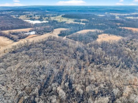 Tiny photo for 285 Graves, Foley, MO 63347 (MLS # 25082203)