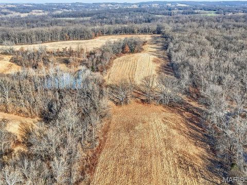 Tiny photo for 285 Graves, Foley, MO 63347 (MLS # 25082203)