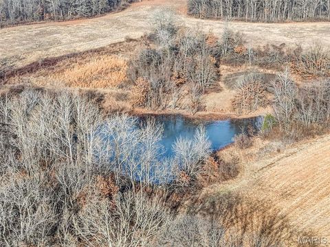 Tiny photo for 285 Graves, Foley, MO 63347 (MLS # 25082203)