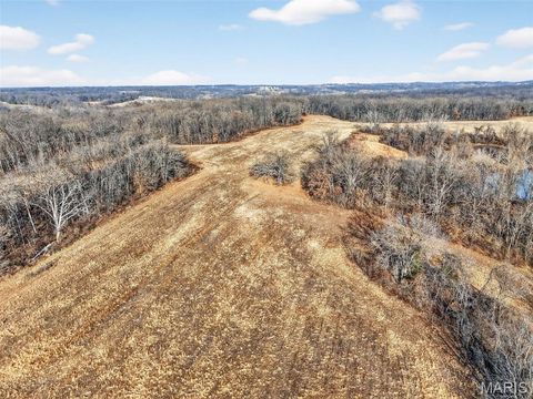 Tiny photo for 285 Graves, Foley, MO 63347 (MLS # 25082203)