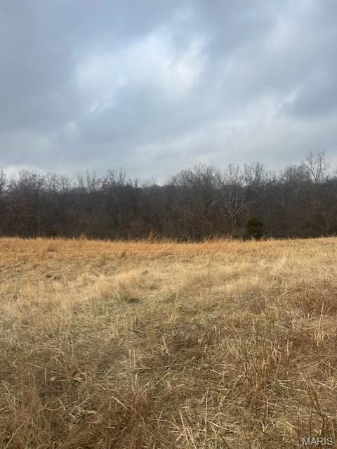 Tiny photo for 285 Graves, Foley, MO 63347 (MLS # 25082203)