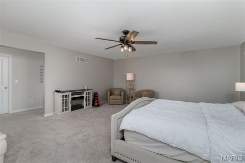 Tiny photo for 214 Carlton Point Drive, Wentzville, MO 63385 (MLS # 26023231)