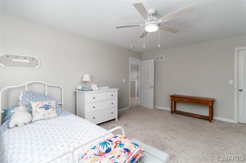 Tiny photo for 214 Carlton Point Drive, Wentzville, MO 63385 (MLS # 26023231)