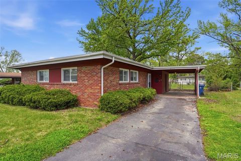 Photo of 8513 Midwood Avenue, Allenton, MO 63134 (MLS # 26023041)