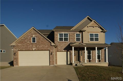 Photo of 910 Ellis Park Drive, Wentzville, MO 63385 (MLS # 26011579)
